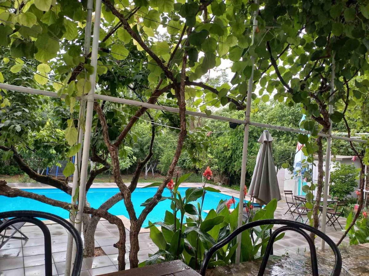 Casa vacanze Iris *