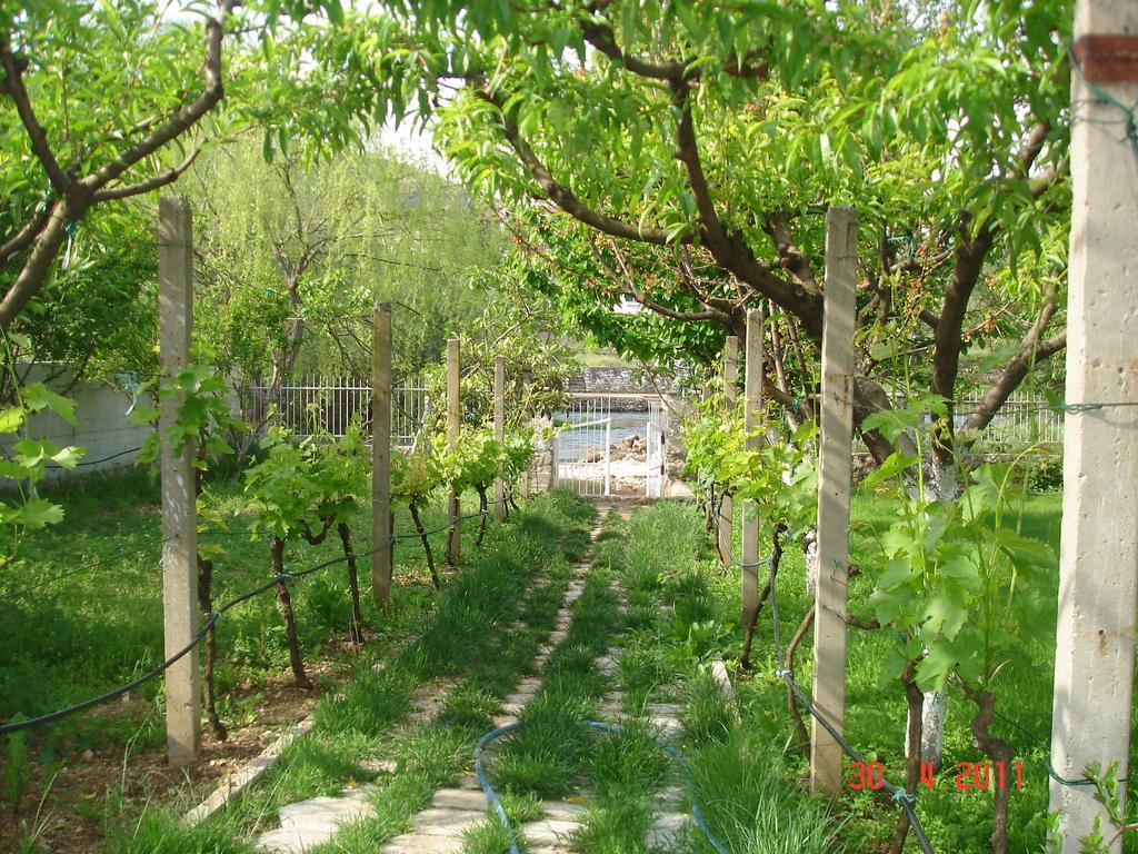Casa vacanze Iris