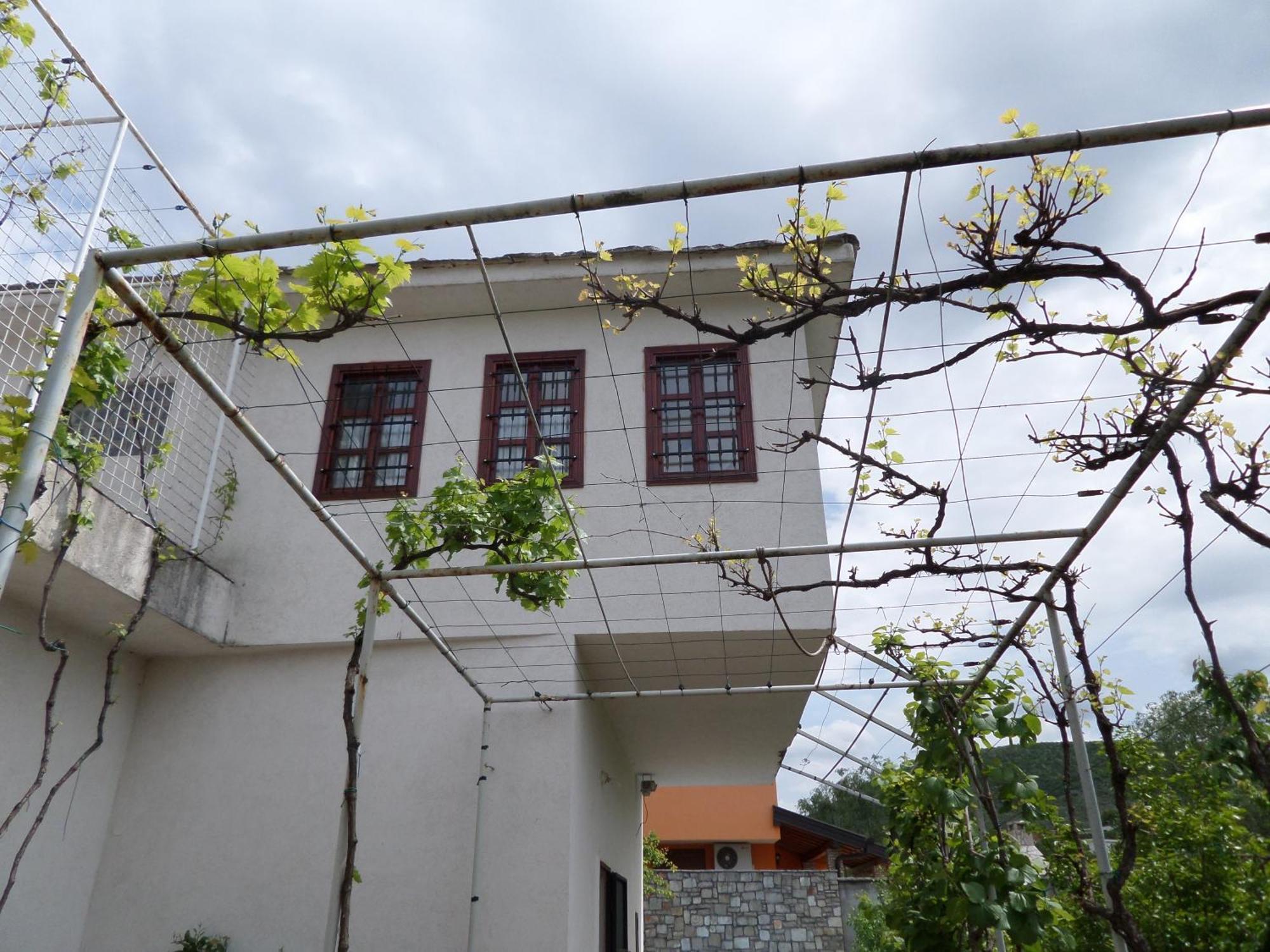 Iris * Blagaj
