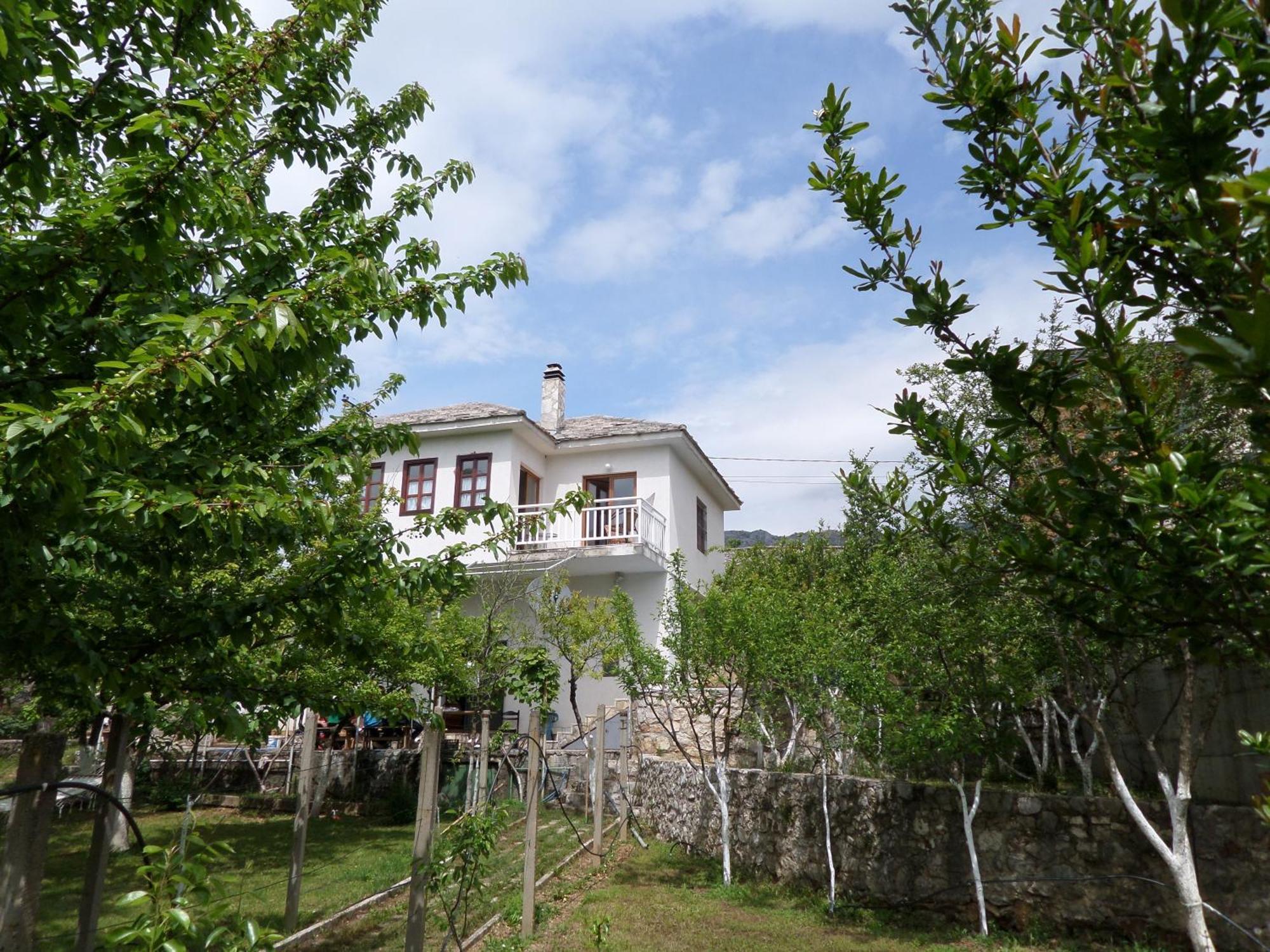 Iris Blagaj